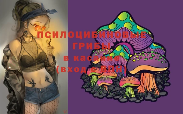 МДМА Абаза